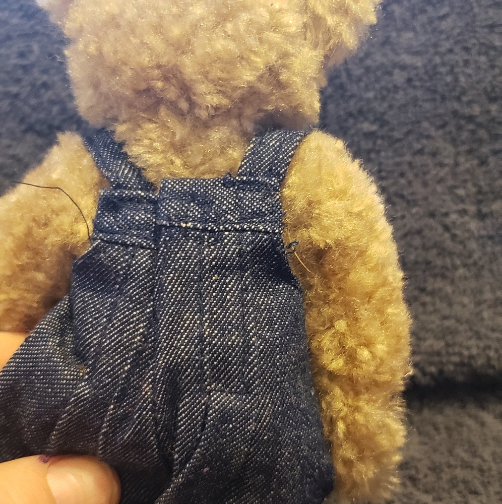 Boyd's bear - Picture 4 of 4